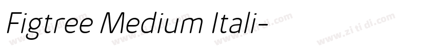 Figtree Medium Itali字体转换